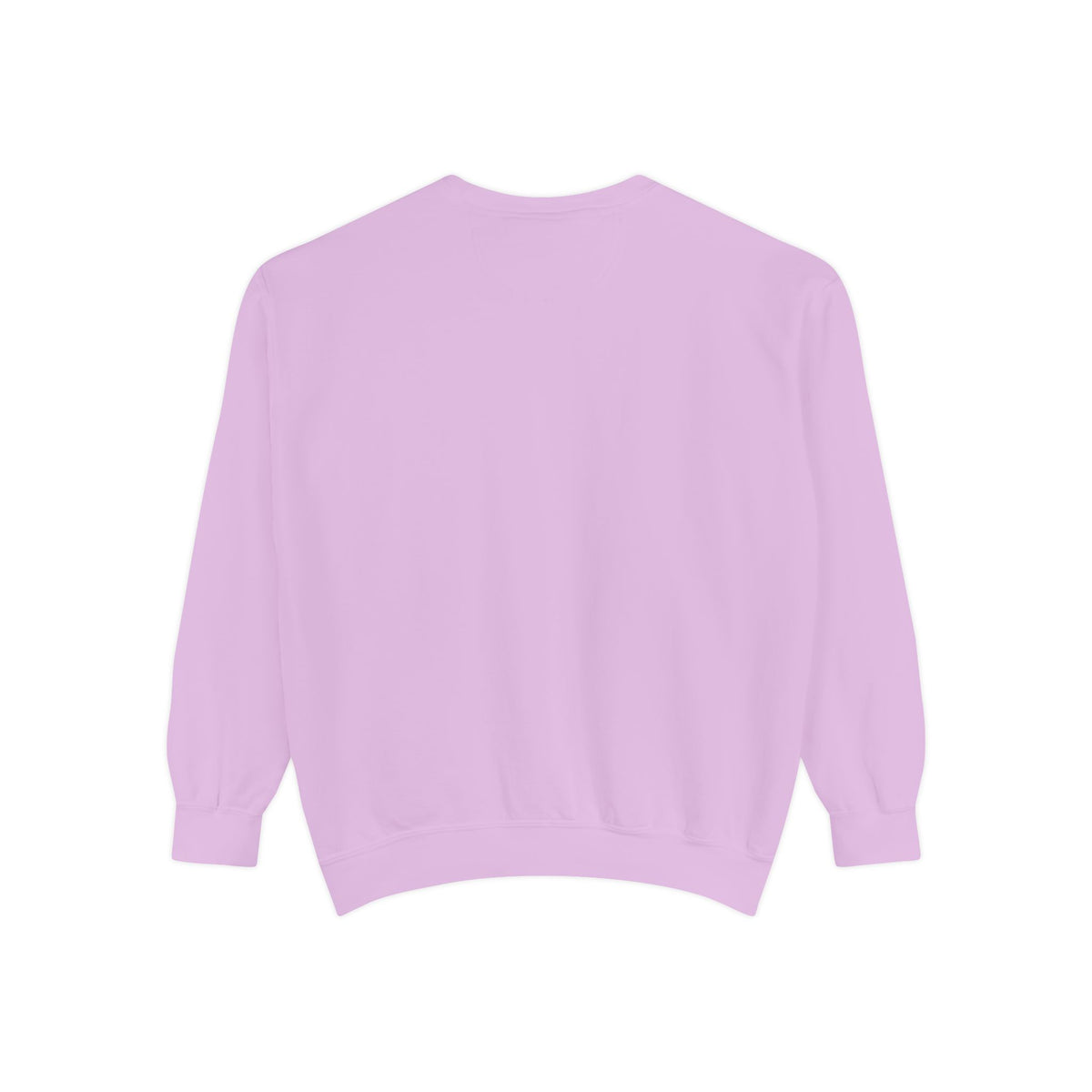 Doxie Girl Sweatshirt — Retro Dachshund Graphic Cozy Pullover
