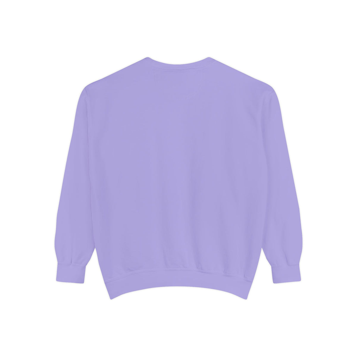Doxie Girl Sweatshirt — Retro Dachshund Graphic Cozy Pullover